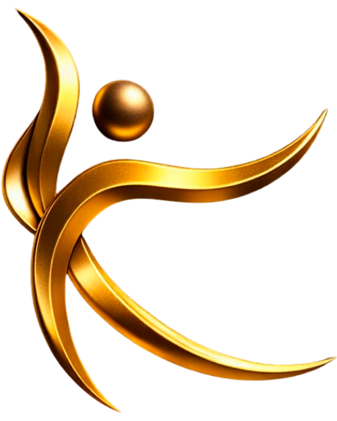 Logo FNDD